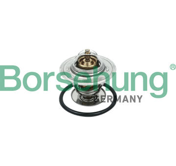 Termostat, chladivo Borsehung B18260