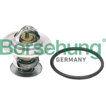 Termostat chladenia Borsehung B18262