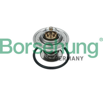 Termostat, chladivo Borsehung B18265