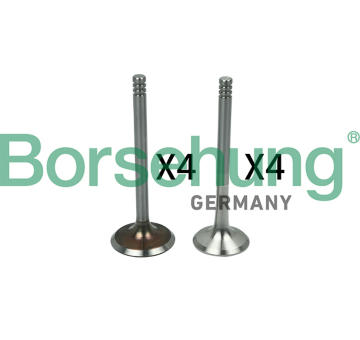 Sací ventil Borsehung B18642