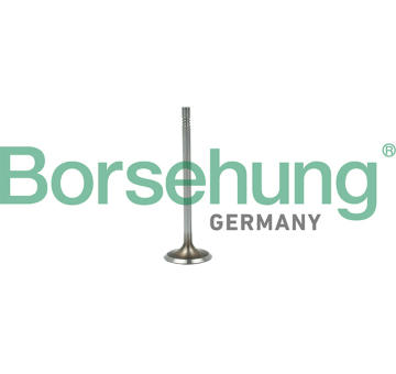 Sací ventil Borsehung B19015