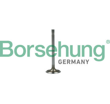 Sací ventil Borsehung B19022