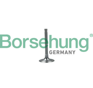 Sací ventil Borsehung B19028