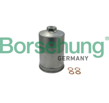 palivovy filtr Borsehung B19091