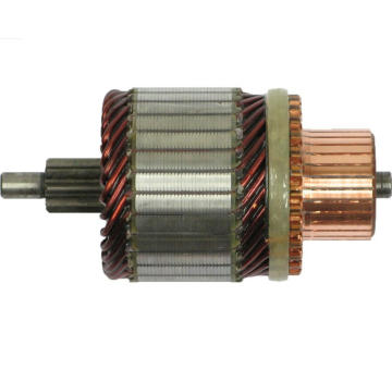 Rotor startéru - Denso 428000-1640  RC 239078