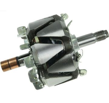 Rotor alternátoru AS-PL AR6025