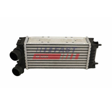 Chladic nizke teploty, chladic plniciho vzduchu FAST FT10920