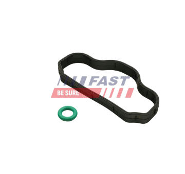 Tesnenie skrutiek krytu hlavy valcov FAST FT48302