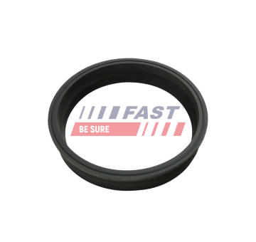 Těsnění, snímač paliva FAST FT48501