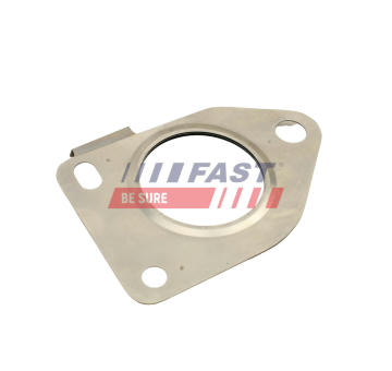 Těsnění, dmychadlo FAST FT48812