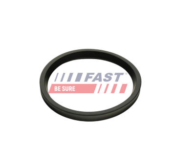 Tesniaci krúżok hadice plniaceho vzduchu FAST FT48947