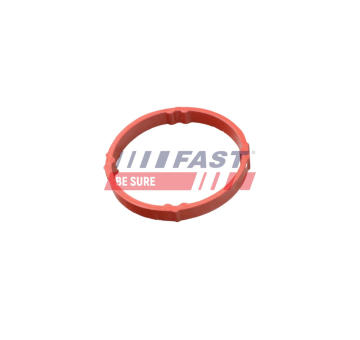 Tesniaci krúżok FAST FT48958