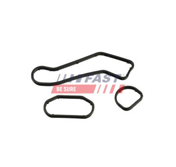 Tesniaci krúžok, chladič oleja (mazanie) FAST FT48960