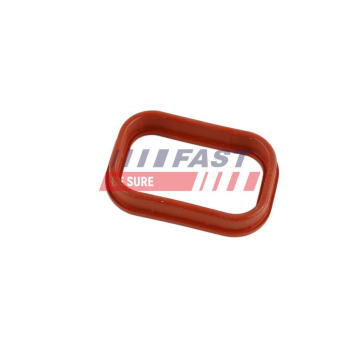 Tesnenie obalu kolena sacieho potrubia FAST FT49435