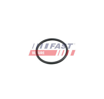 Tesnenie trubiek chladenia FAST FT49920