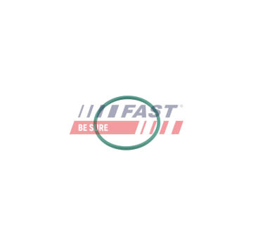 Tesnici krouzek, hadice plniciho vzduchu FAST FT49921
