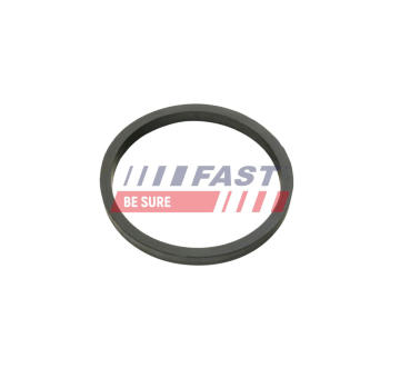 Těsnicí kroužek, chladič oleje (mazání) FAST FT49924