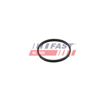 Těsnění, AGR ventil FAST FT50602
