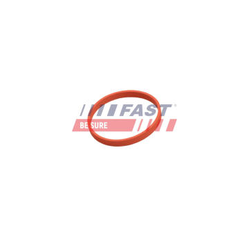 Tesnenie, AGR-Ventil FAST FT50628