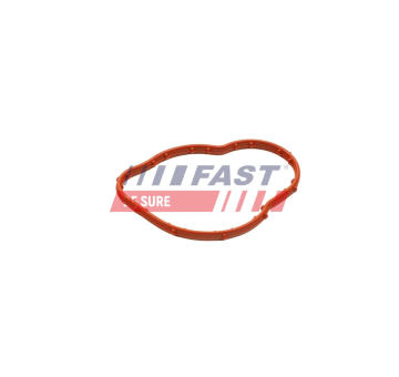 Tesnenie obalu termostatu FAST FT58305