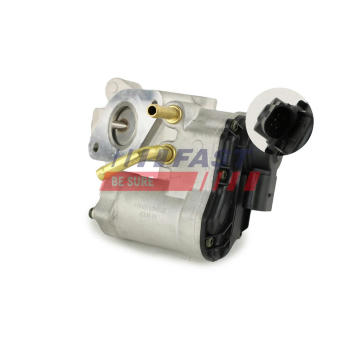 AGR - Ventil FAST FT60208