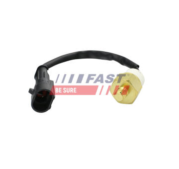 Teplotní spínač FAST FT80157