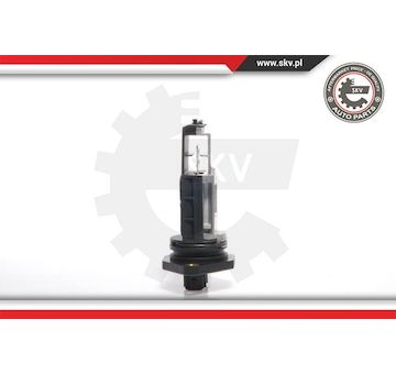 Snímač množství protékajícího vzduchu ESEN SKV 07SKV002