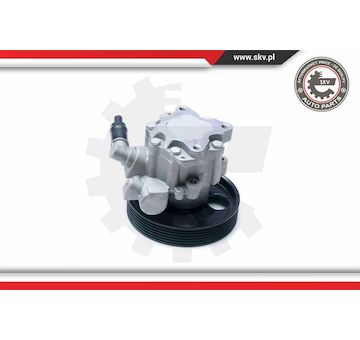 Hydraulické čerpadlo, řízení ESEN SKV 10SKV073