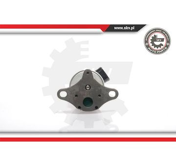 AGR-Ventil ESEN SKV 14SKV017