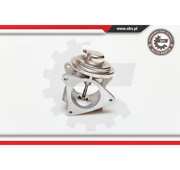 AGR-Ventil ESEN SKV 14SKV019