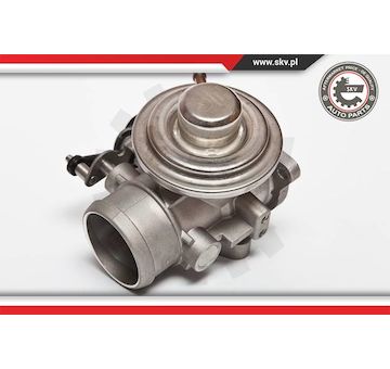 AGR-Ventil ESEN SKV 14SKV020