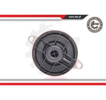 AGR-Ventil ESEN SKV 14SKV023