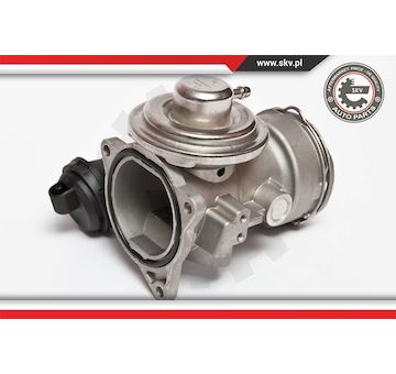 AGR-Ventil ESEN SKV 14SKV025