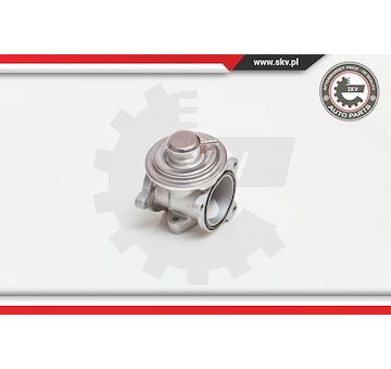 AGR-Ventil ESEN SKV 14SKV034