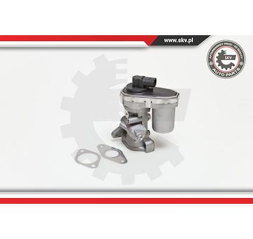 AGR-Ventil ESEN SKV 14SKV038