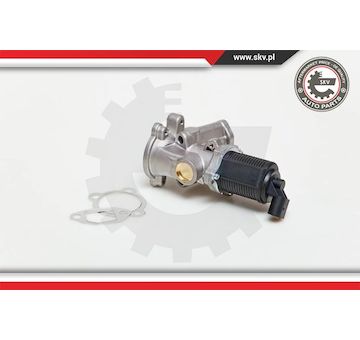 AGR-Ventil ESEN SKV 14SKV039