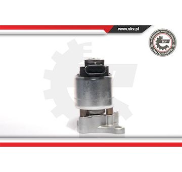 AGR-Ventil ESEN SKV 14SKV041