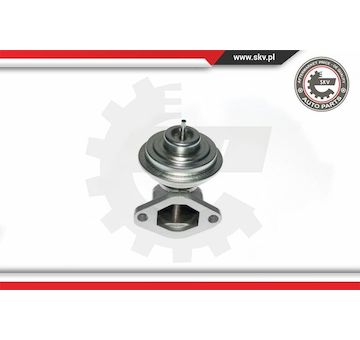 AGR-Ventil ESEN SKV 14SKV049