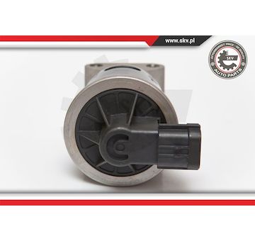 AGR-Ventil ESEN SKV 14SKV053