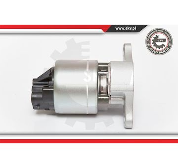 AGR-Ventil ESEN SKV 14SKV056