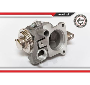 AGR-Ventil ESEN SKV 14SKV063