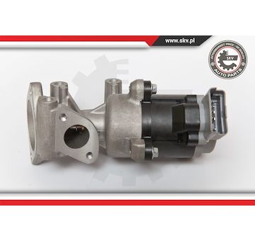 AGR-Ventil ESEN SKV 14SKV066