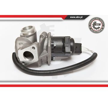 AGR-Ventil ESEN SKV 14SKV067