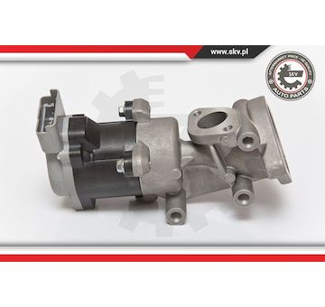 AGR-Ventil ESEN SKV 14SKV073