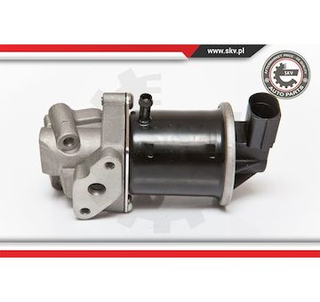 AGR-Ventil ESEN SKV 14SKV074