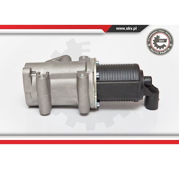 AGR-Ventil ESEN SKV 14SKV076