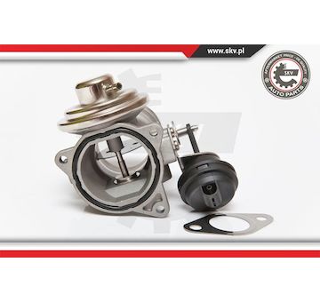 AGR-Ventil ESEN SKV 14SKV081