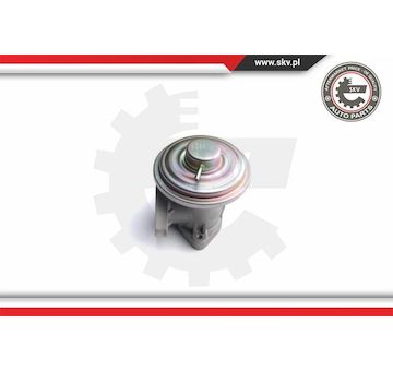 AGR-Ventil ESEN SKV 14SKV098