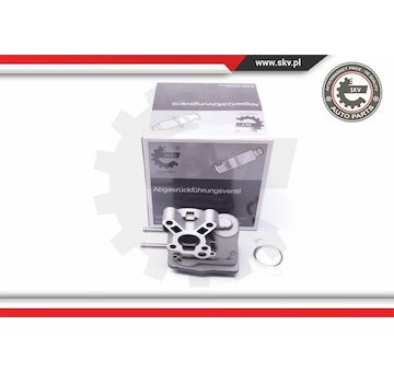 AGR-Ventil ESEN SKV 14SKV103
