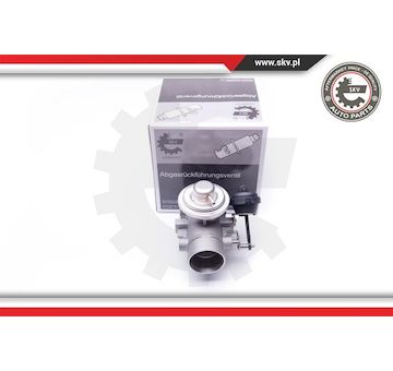 AGR-Ventil ESEN SKV 14SKV107